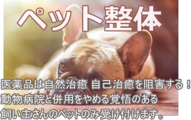 ペットの整体